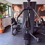 Palms 4*